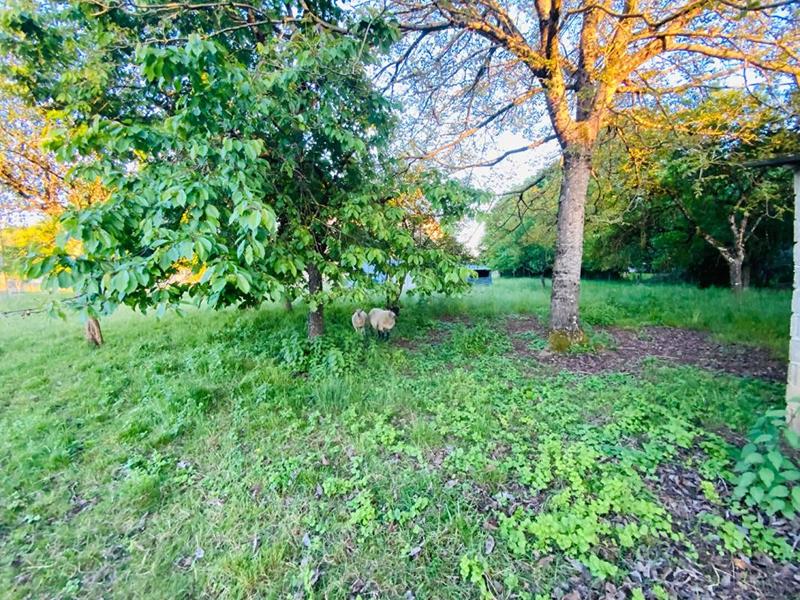 Terrain constructible - 1 500 m²