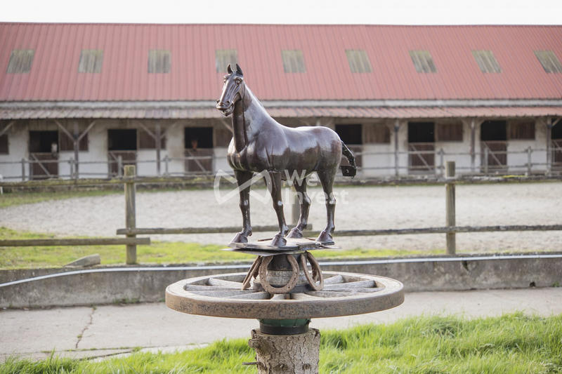 Maison - 220 m² - 9 pièces