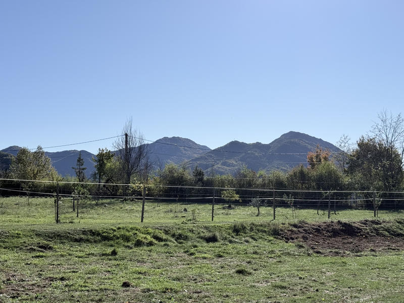Terrain agricole - 2 926 m²