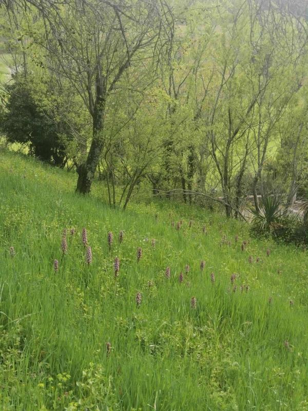 Maison - 136 m² - 6 pièces