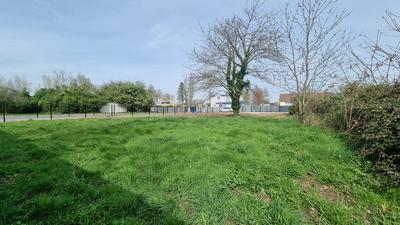Terrain - 732 m²