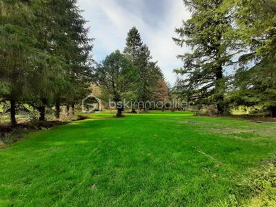 Maison en pierre - 304 m² - 12 pièces