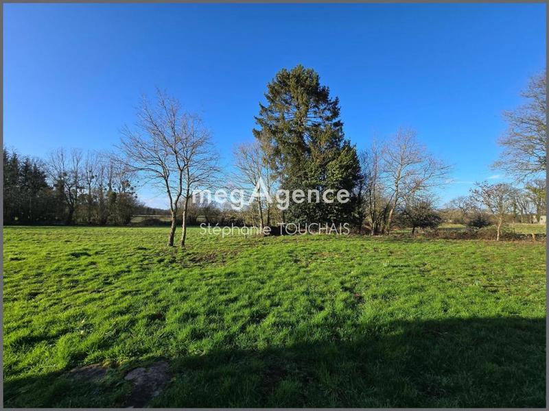 Maison en pierre - 100 m² - 3 pièces