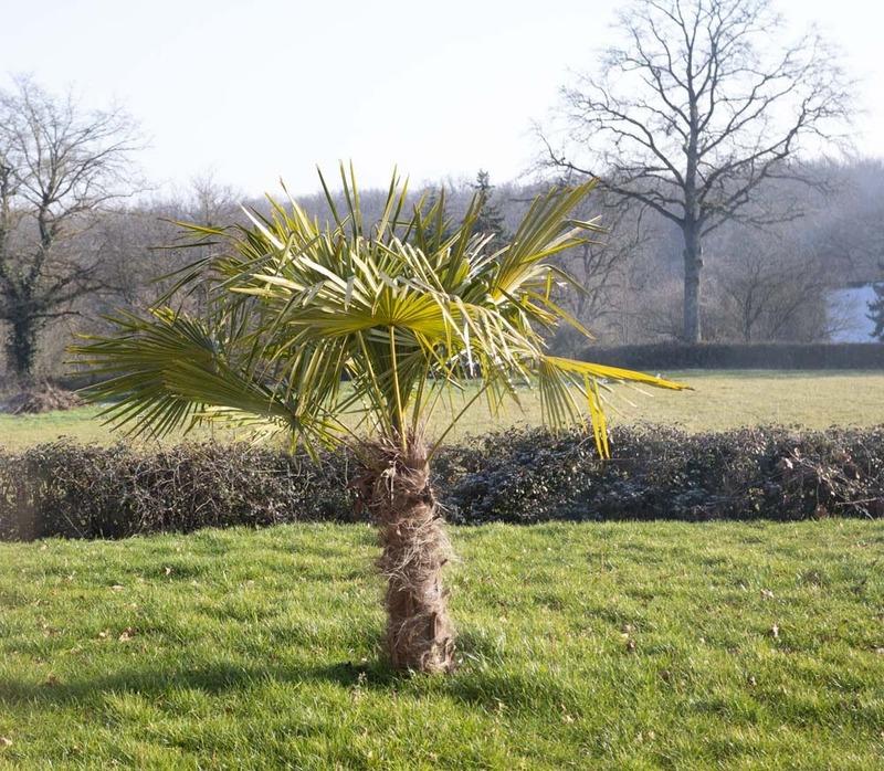 Maison - 167 m² - 7 pièces