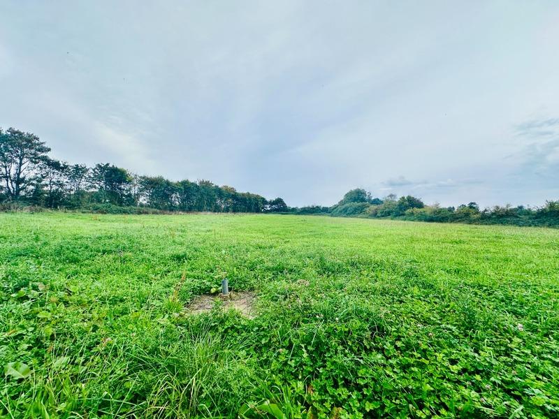 Maison de maîtres - 158 m² - 5 pièces