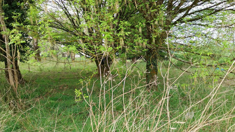 Maison de village - 73 m² - 5 pièces