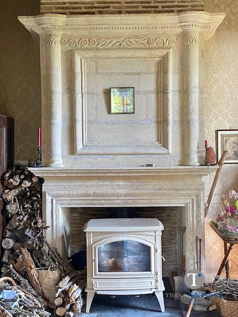 Maison ancienne - 700 m² - 14 pièces