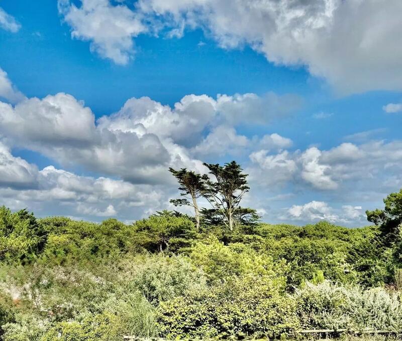 Villa - 188 m² - 5 pièces