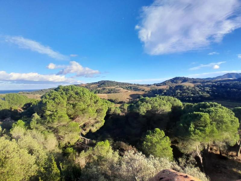 Maison - 264 m² - 8 pièces