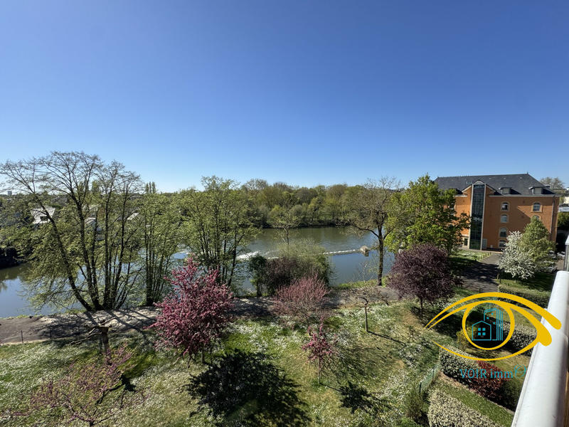 Appartement - 50 m² - 2 pièces