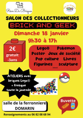 Salon des collectionneurs brick and geek