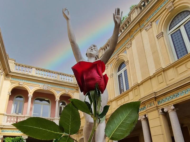 Sant Jordi - la Rose Dans Tous Ses Jardins