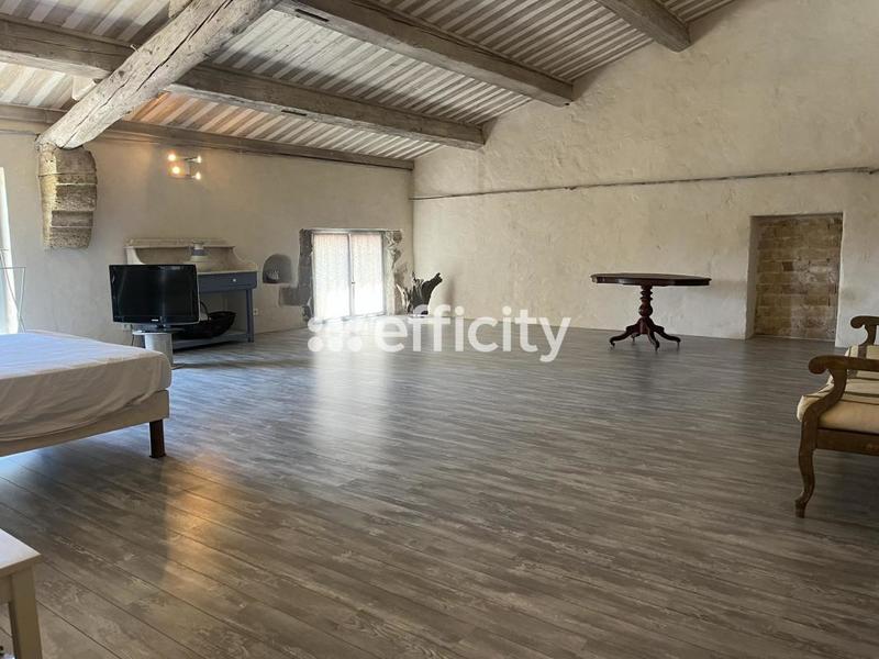 Mas - 300 m² - 10 pièces