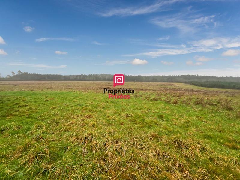 Maison - 80 m² - 3 pièces