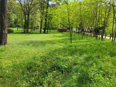 Terrain constructible - 3 500 m²