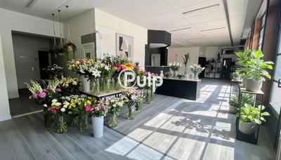 Immeuble - 562 m² - 15 pièces