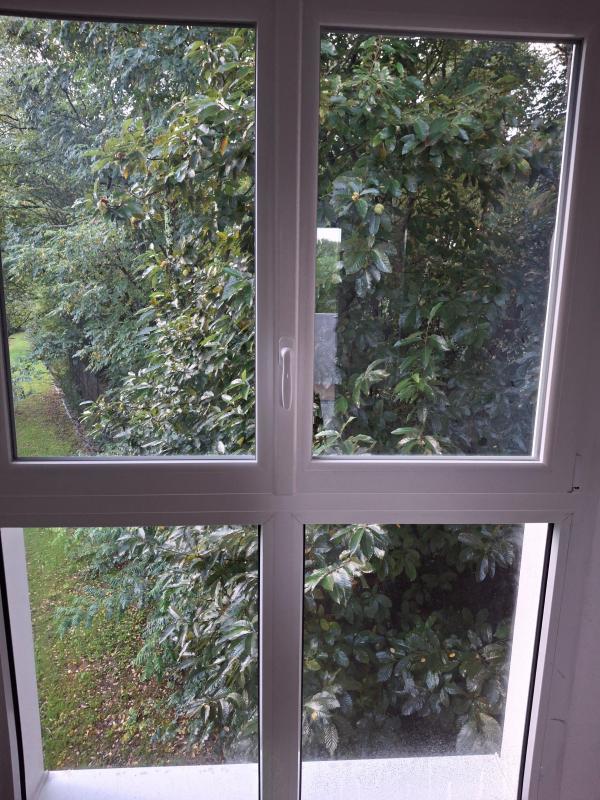 Appartement - 16 m² - 1 pièce