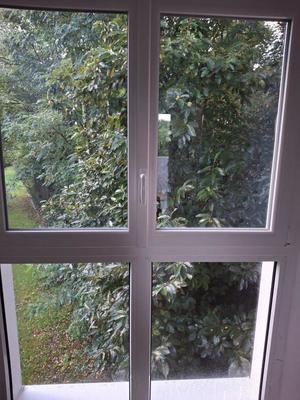 Appartement - 16 m² - 1 pièce