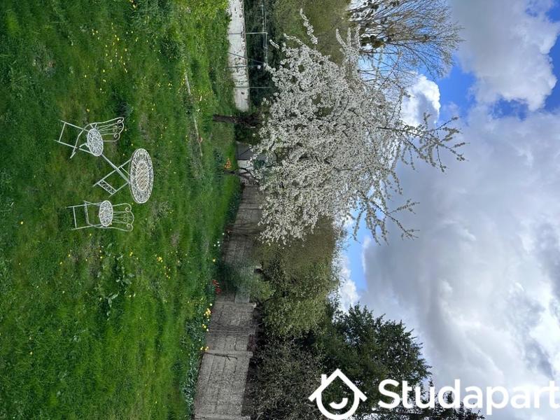 Chambre - 16 m² - 1 pièce