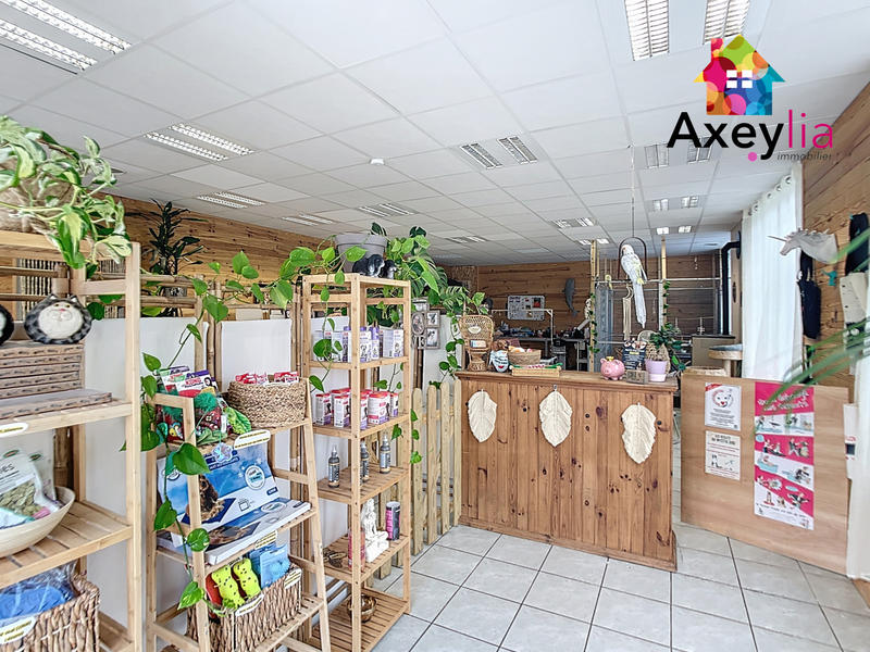 Maison - 250 m² - 6 pièces