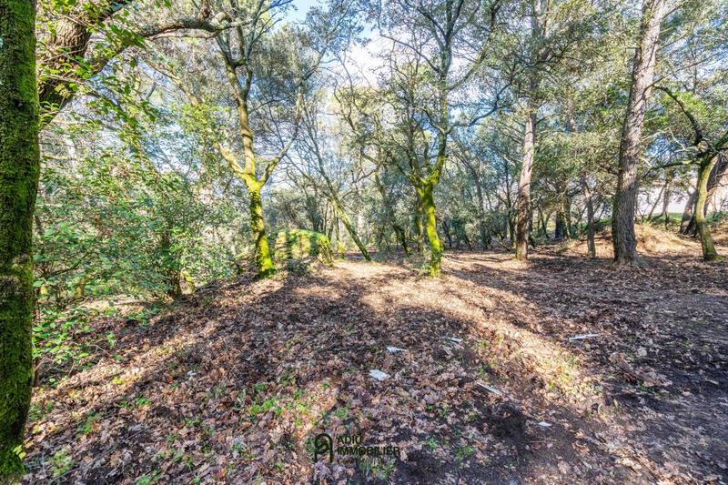 Terrain constructible - 1 299 m²