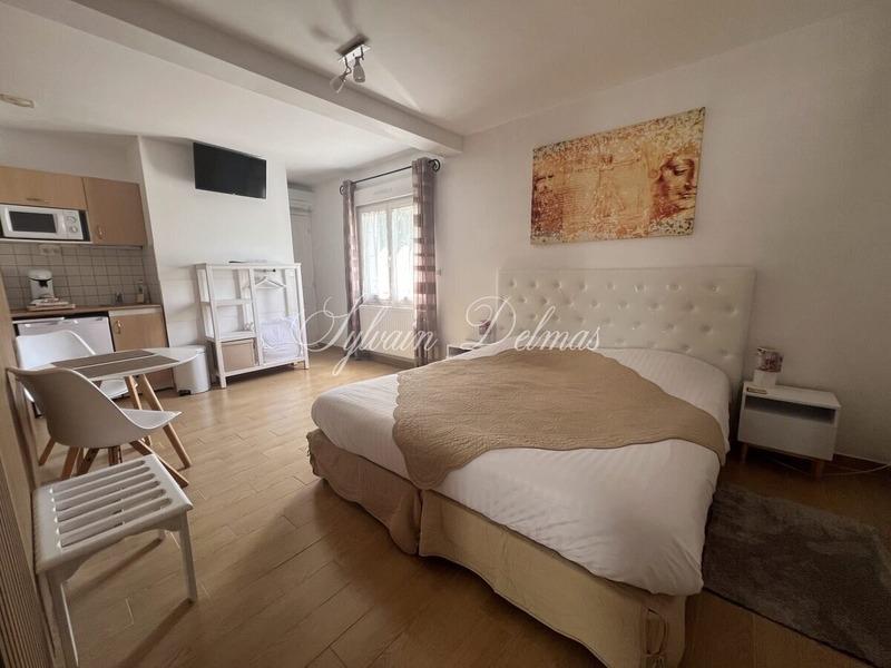 Château - 1 000 m² - 32 pièces