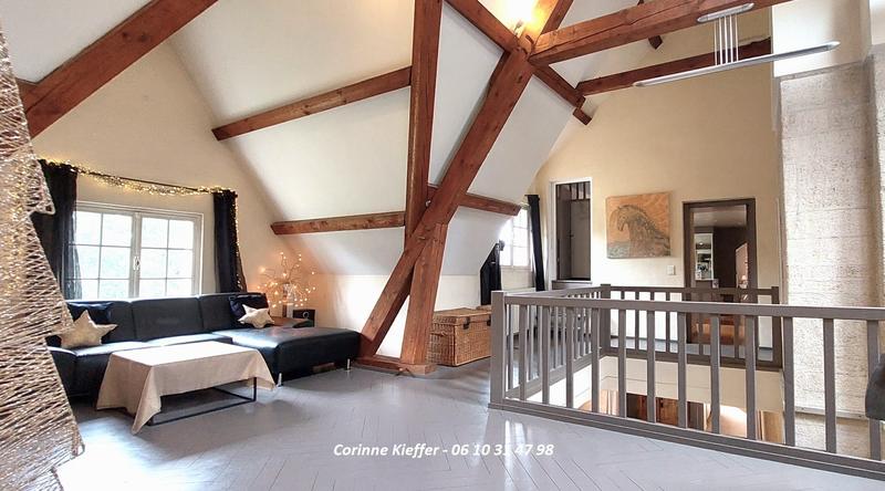 Manoir - 528 m² - 15 pièces