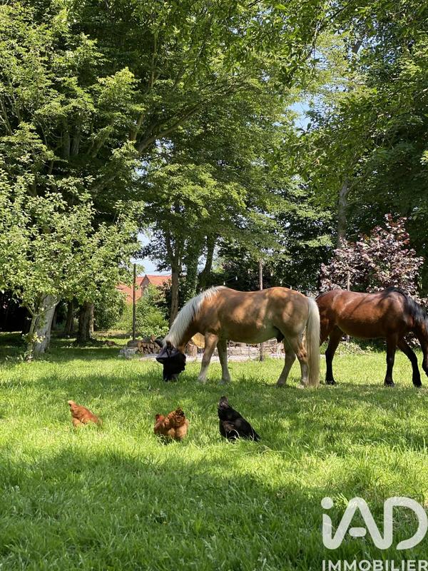 Maison - 133 m² - 5 pièces