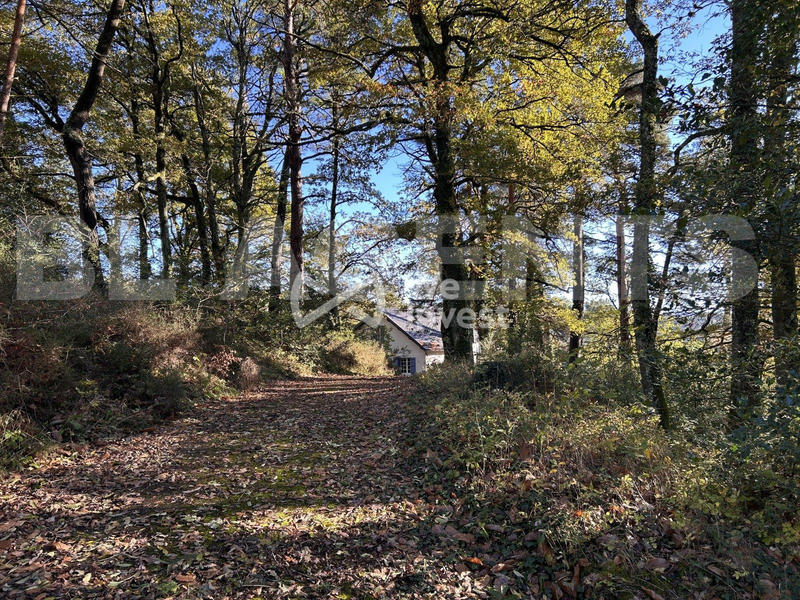 Maison - 130 m² - 7 pièces