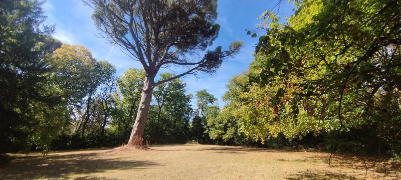 Maison - 295 m² - 9 pièces