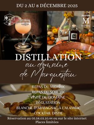 Distillation au Domaine de Marquestau