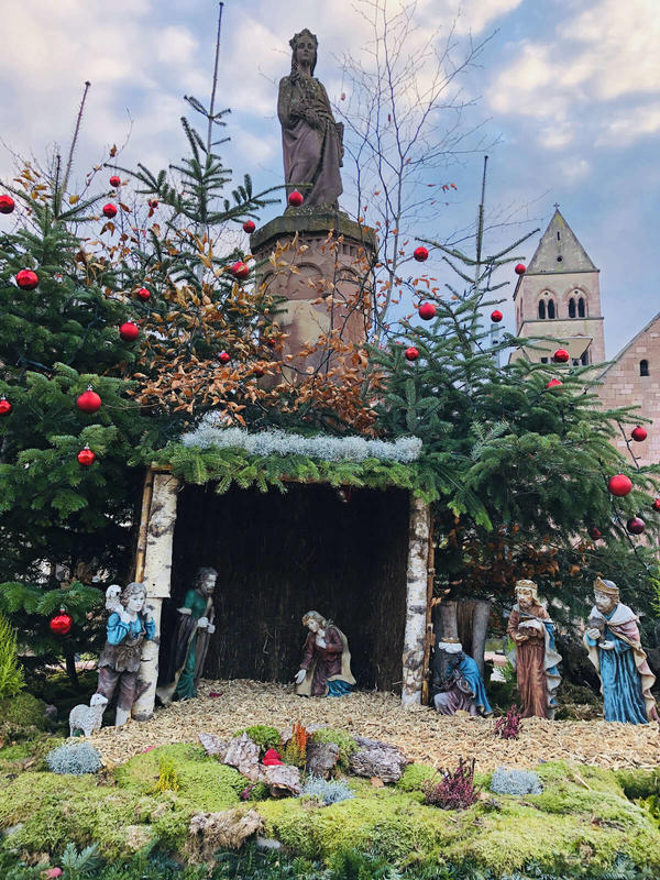 Illumination du sapin de Noël