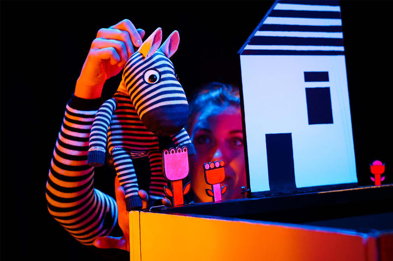 Festival Compli'Cité - Zèbres