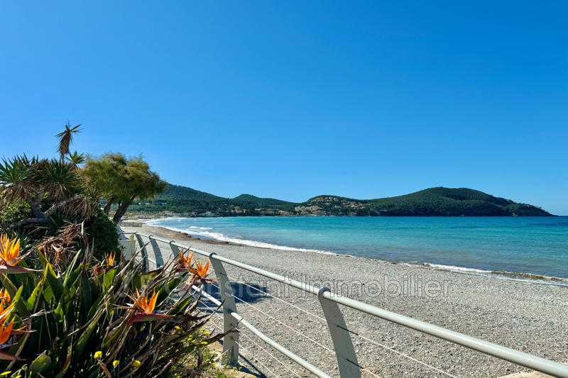 Appartement - 77 m² - 3 pièces