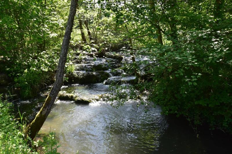 Propriété - 340 m² - 10 pièces