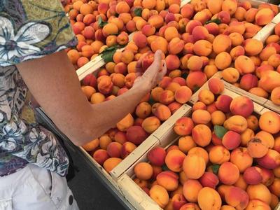 Marché Traditionnel Portiragnes Plage Mercredi Place du Bicentenaire