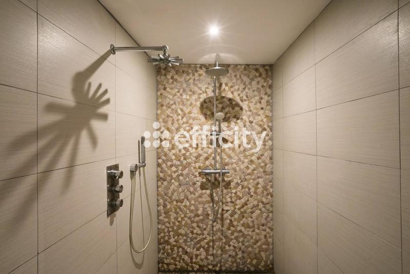 Loft - 243 m² - 4 pièces