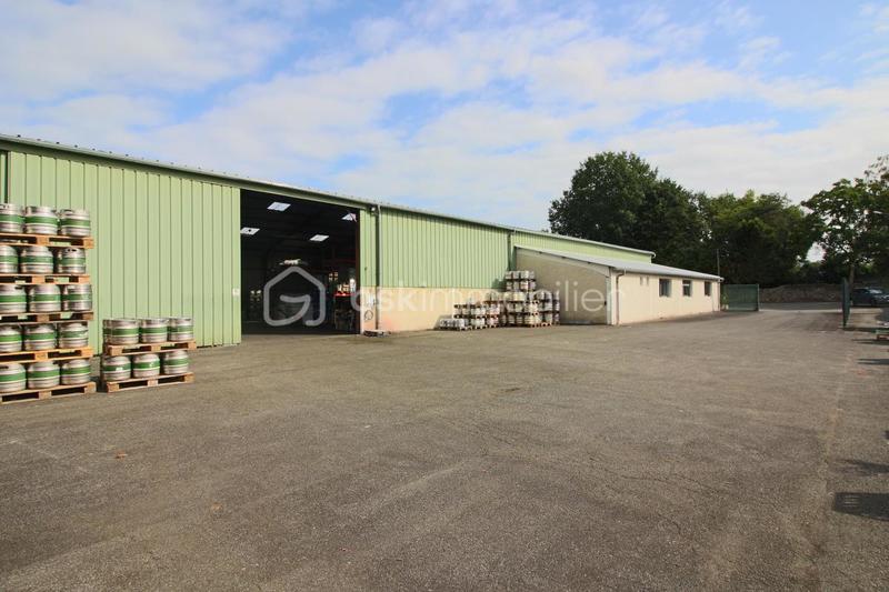 Entrepôt - 890 m² - 6 pièces