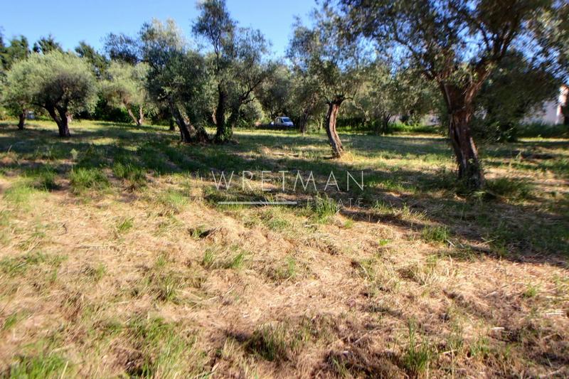 Terrain constructible - 2 000 m²