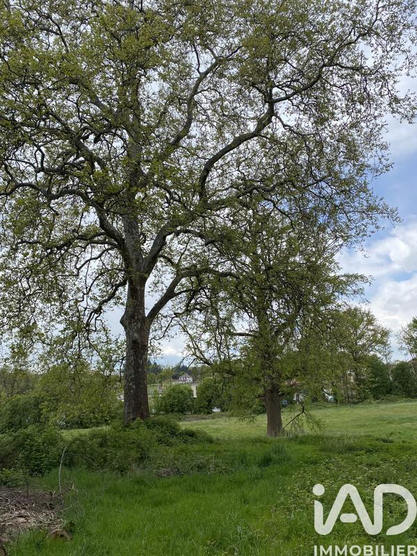 Maison - 200 m² - 5 pièces