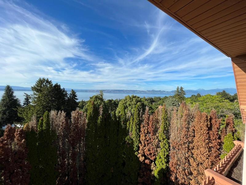 Maison - 322 m² - 14 pièces