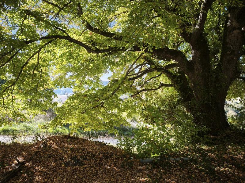 Terrain constructible - 7 424 m²