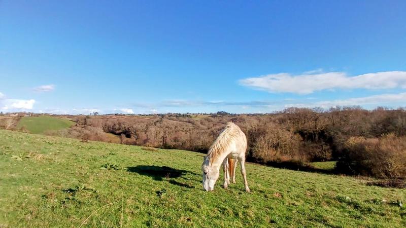 Maison - 267 m² - 9 pièces