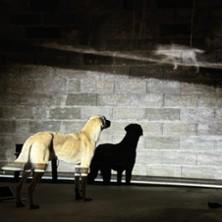 In Bocca al Lupo - Judith Zagury - ShanjuLab - Théâtre du Rond-Point, Paris