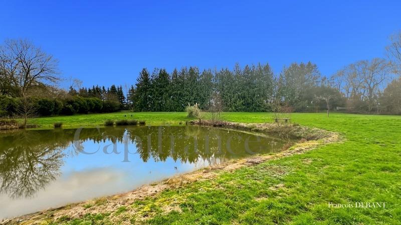 Terrain de loisirs - 8 000 m²