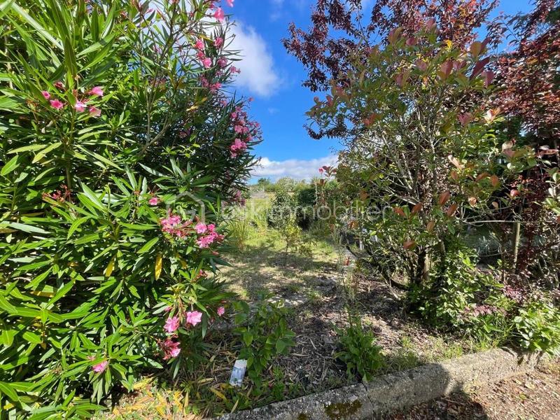 Maison - 91 m² - 5 pièces