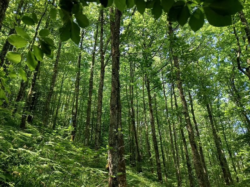 Maison - 66 m² - 4 pièces