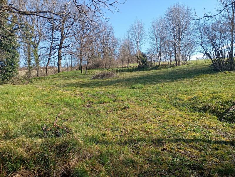 Immeuble - 1 580 m²