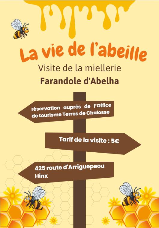 La vie de l'abeille - visite d'une miellerie