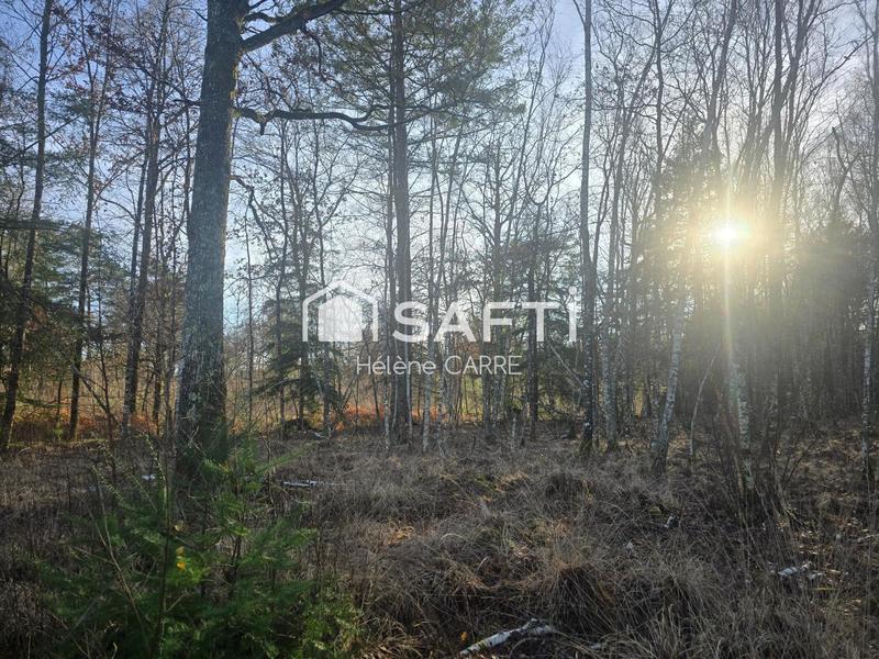 Maison - 237 m² - 11 pièces